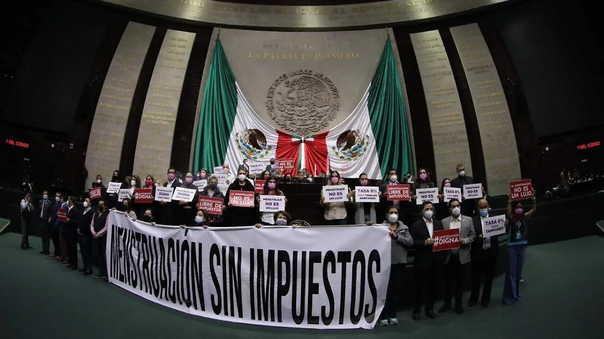 Wendy Briceño Congreso de la Unión (3)